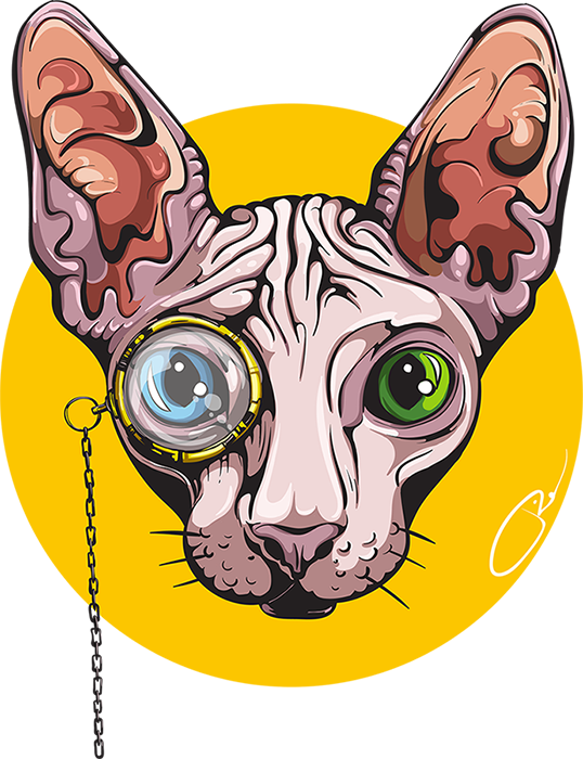 Sphynx Cat PNG Picture