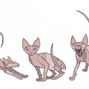Sphynx Cat PNG Transparent HD Photo