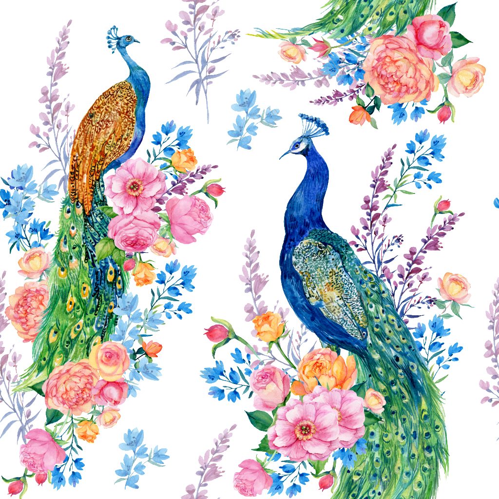 Vector Peacock Background PNG Image