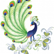 Vector Peacock PNG Clipart Background
