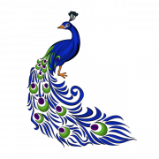 Vector Peacock Transparent Free PNG