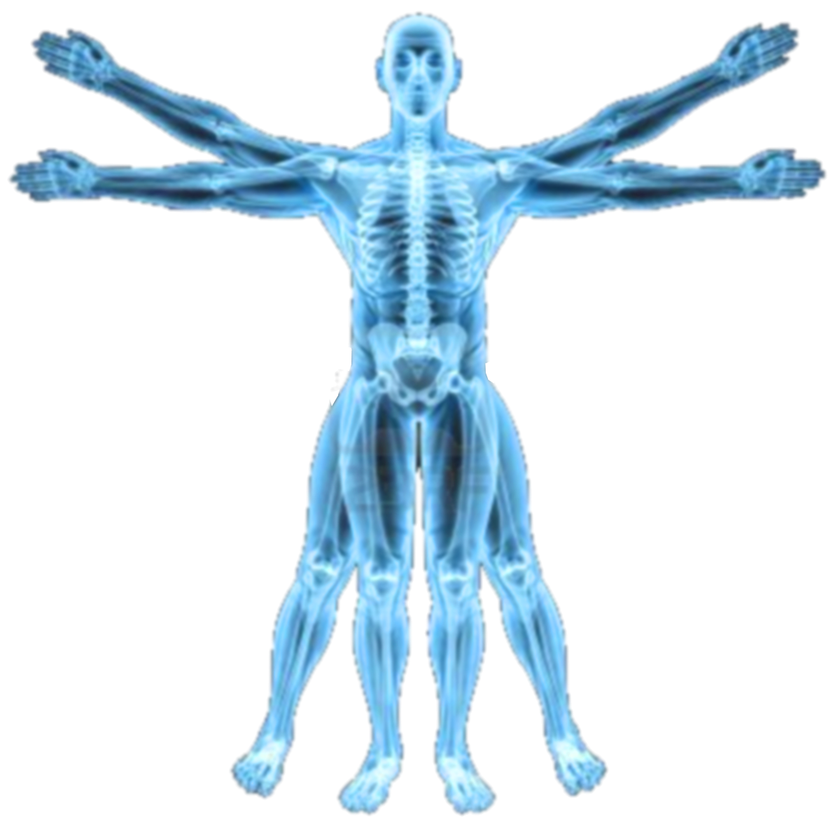 X Ray PNG Photo