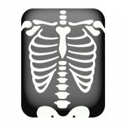 X Ray PNG Foto