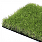 Artificial Turf PNG HD Image