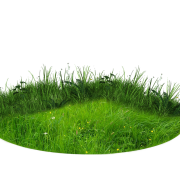 Искусственный газон PNG Высококачественный изображение