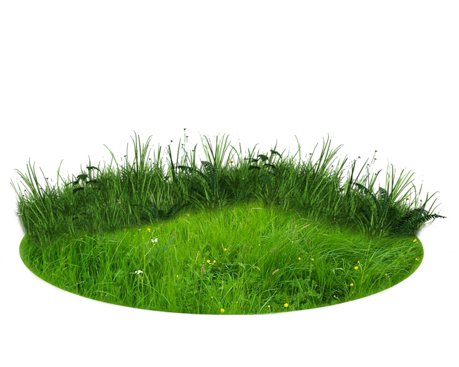 Искусственный газон PNG Высококачественный изображение