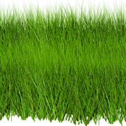 Arquivo de imagem PNG de grama artificial