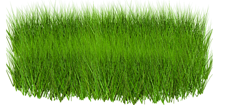 Artificial Turf PNG Image File