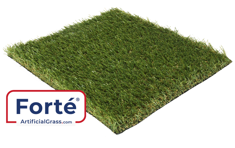 Artificial Turf PNG Image HD