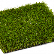 Artificial Turf PNG Pic