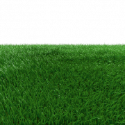 العشب الاصطناعي PNG صورة HD شفافة