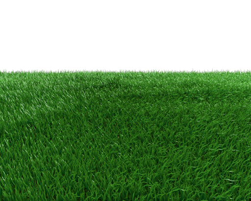 العشب الاصطناعي PNG صورة HD شفافة