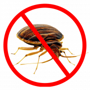 Bed Bug Control PNG Image