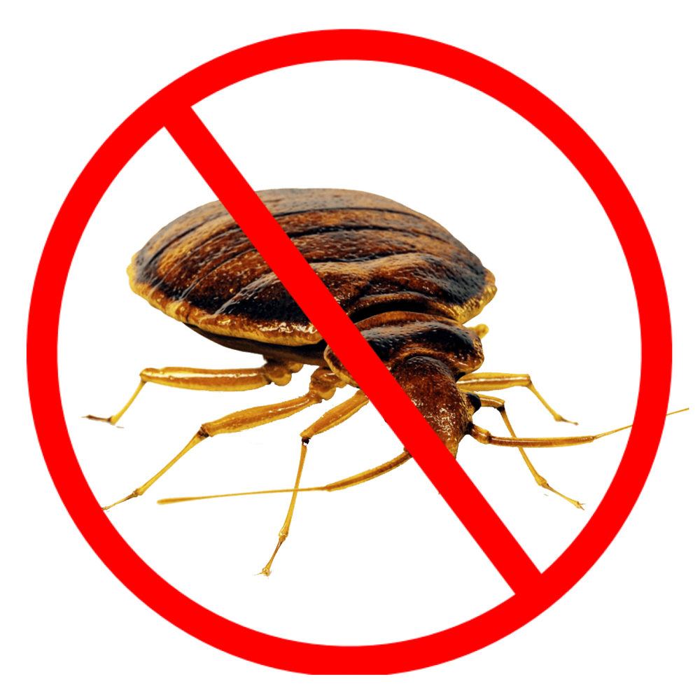 Bed Bug Control PNG Image