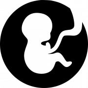 Birth PNG Picture