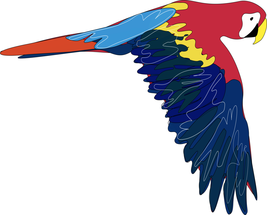 Blue And Yellow Macaw PNG Clipart