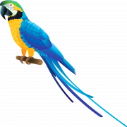 Blue And Yellow Macaw PNG Image File