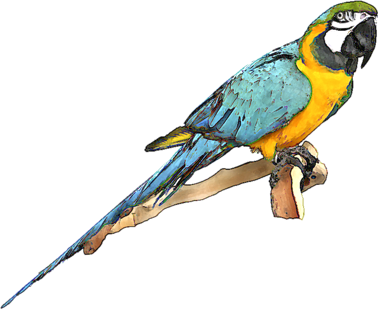 Blue And Yellow Macaw PNG Images
