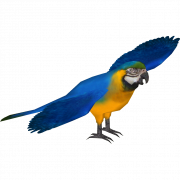 Blue And Yellow Macaw PNG Photo
