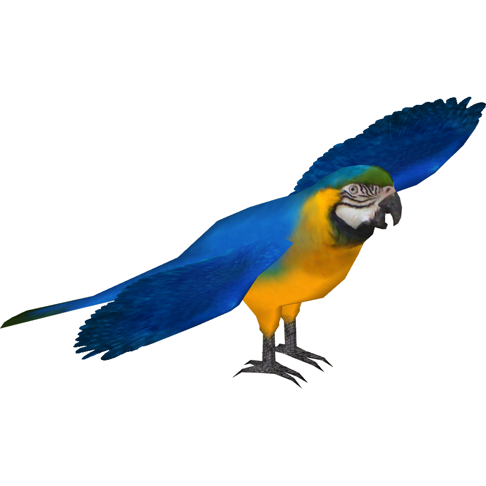 Blue And Yellow Macaw PNG Photo