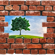 Brickwalls PNG Free Download