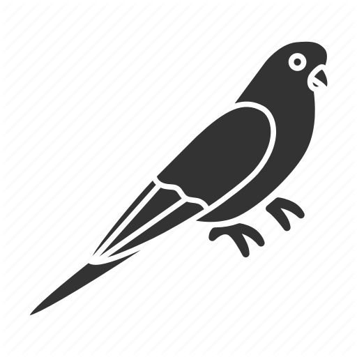 Budgerigar PNG Picture