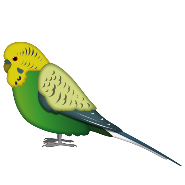 Budgerigar Parrot PNG -bestand