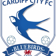 Cardiff City F.C PNG kostenloser Download