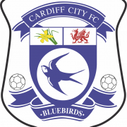 Cardiff City F.C PNG รูปภาพฟรี