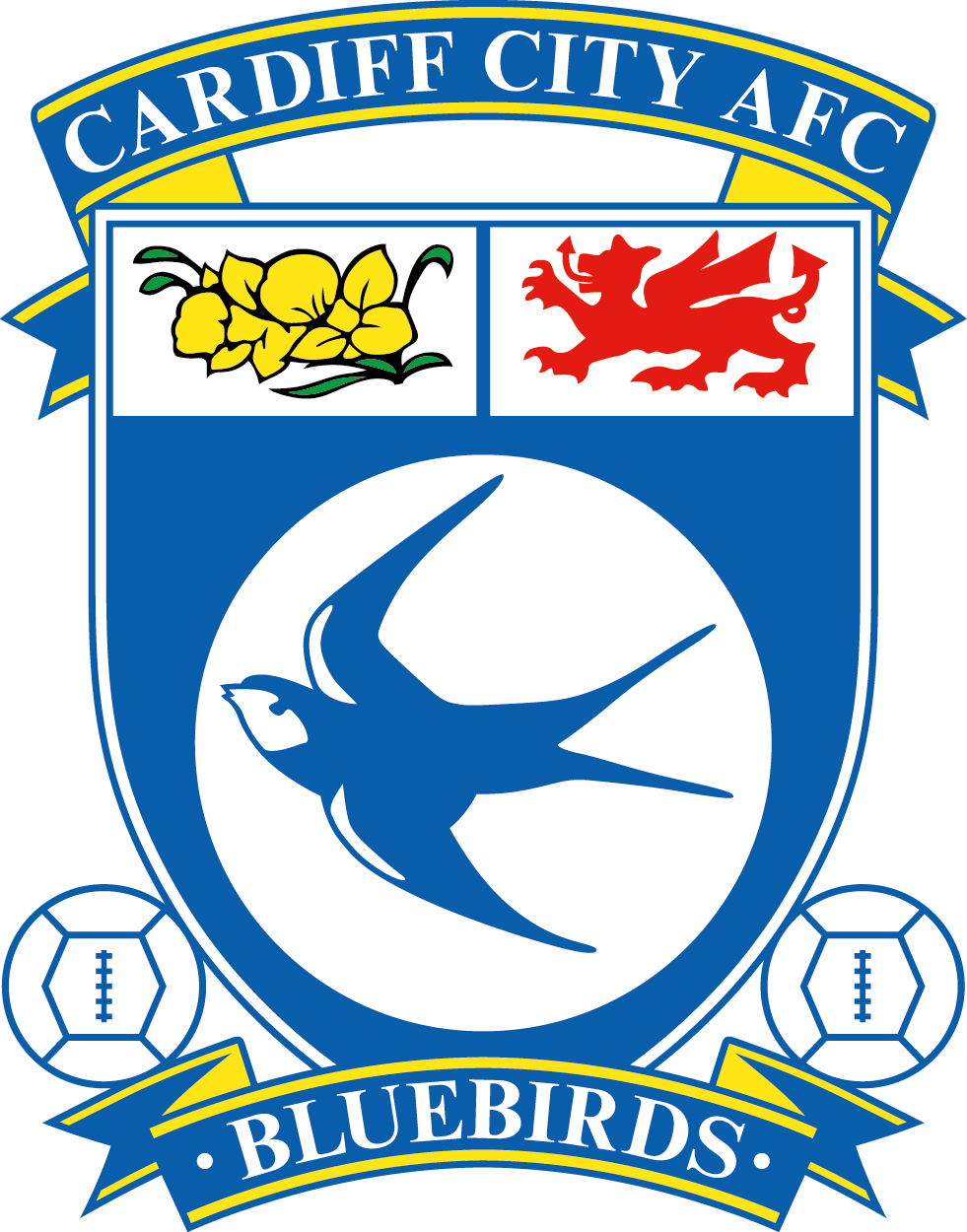 Cardiff City F.C PNG Picture