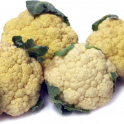 Cauliflower PNG File