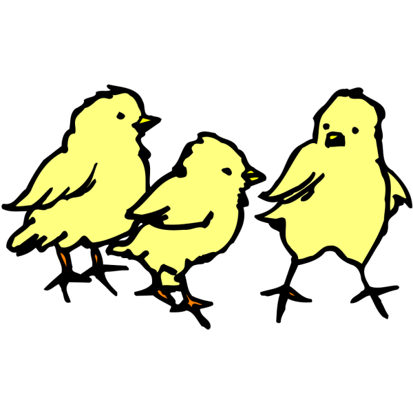 Chicks PNG File