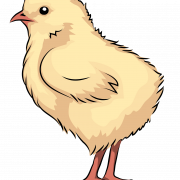 ไฟล์รูปภาพ PNG ลูกไก่