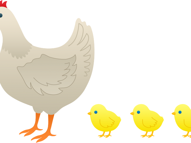 Chicks PNG Picture