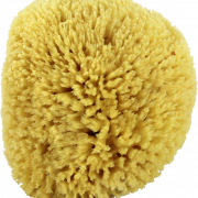 Nettoyer Sponge PNG