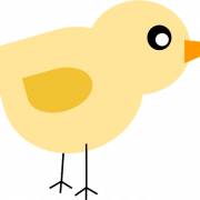 Cute Chicks PNG Picture