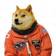 Doge PNG High Quality Image