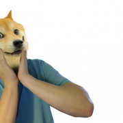 Doge PNG Photo