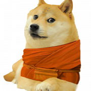 DOGE PNG PIC