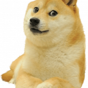 Doge PNG Picture