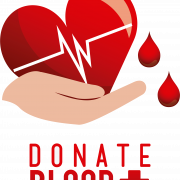 Donation PNG Image