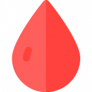 Donation PNG Pic