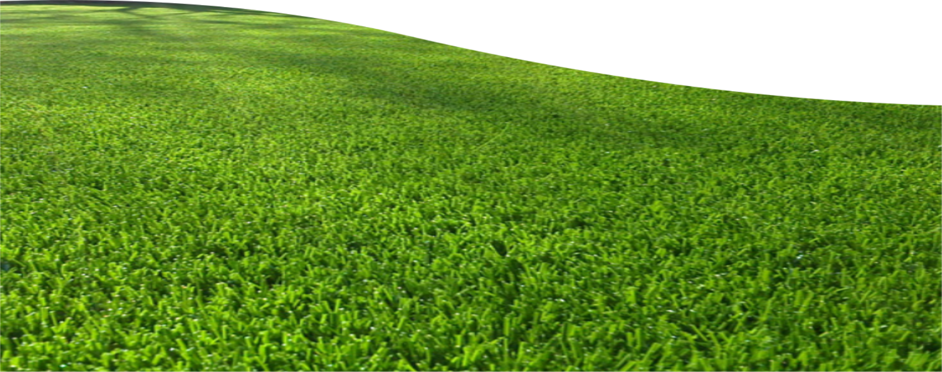 Field PNG Download Image