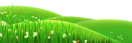 Field PNG File Download Free