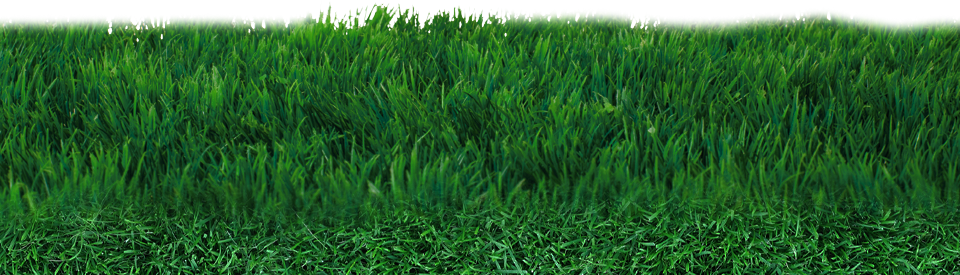 Field PNG File