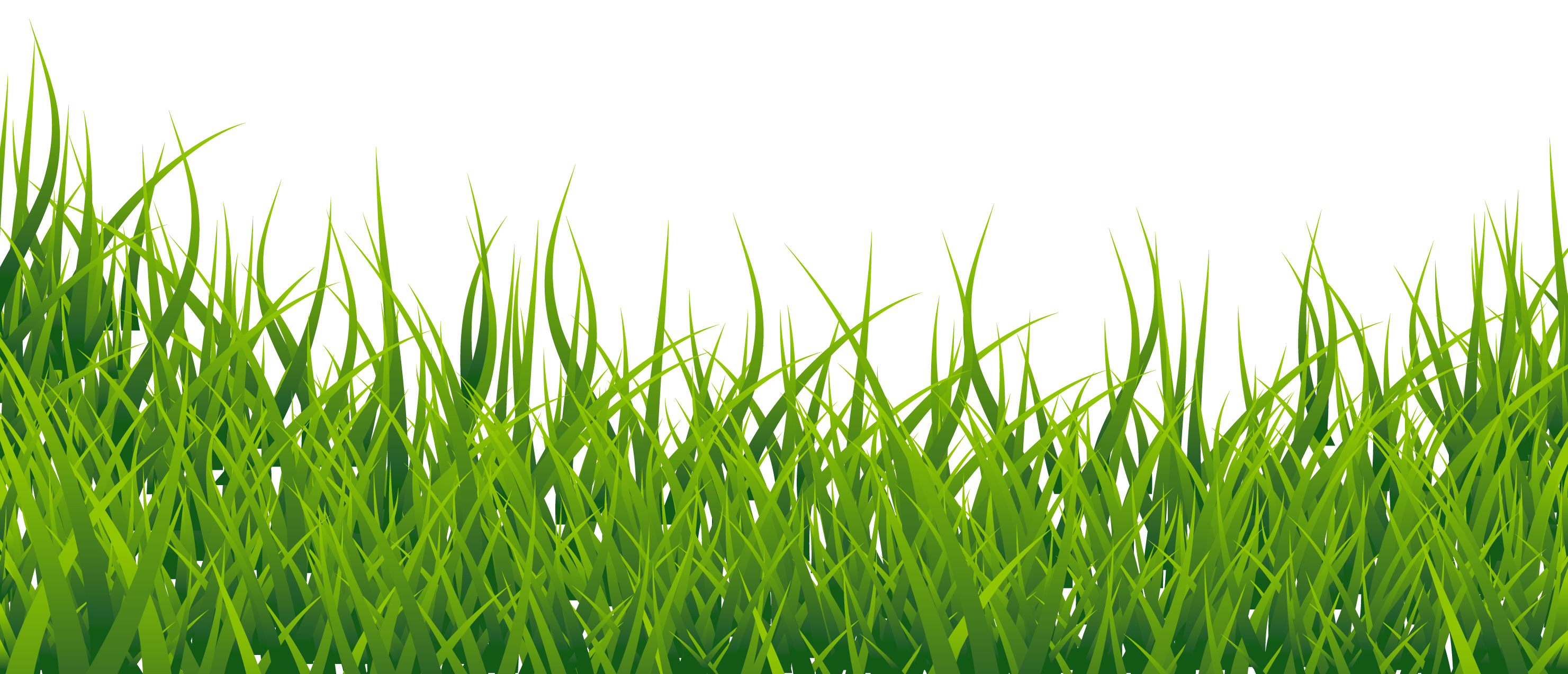 Field PNG HD Image