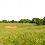 Field PNG Image HD