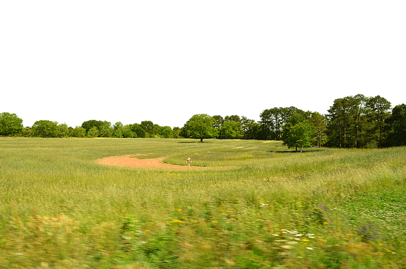 Field PNG Image HD