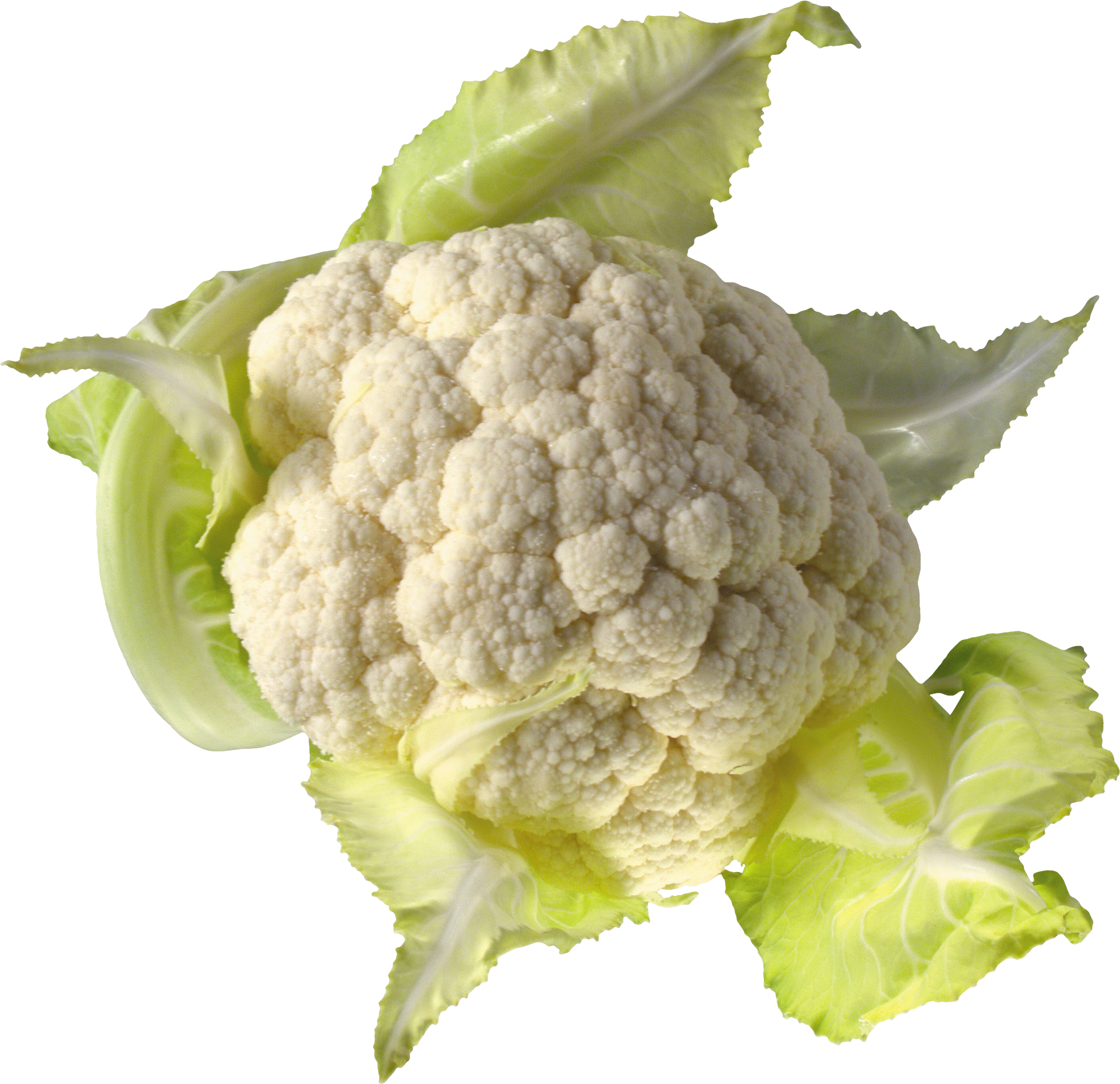 Fresh Cauliflower PNG HD Image