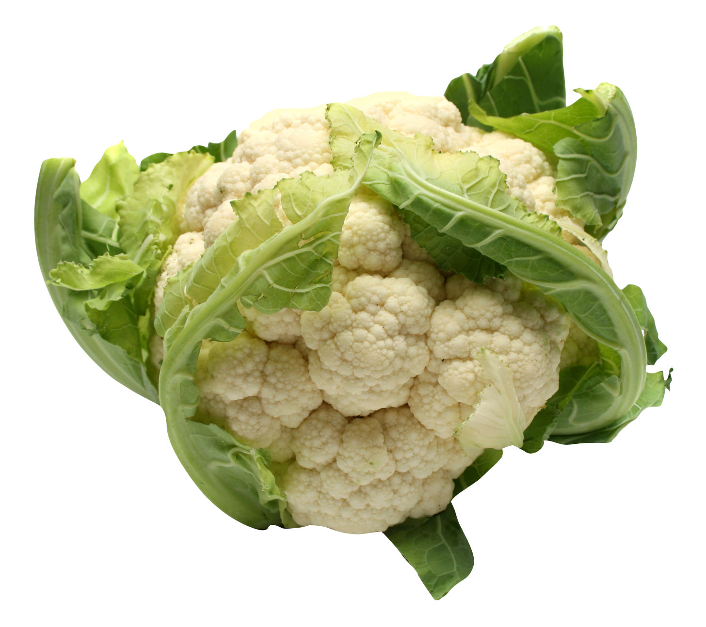 Fresh Cauliflower PNG High Quality Image